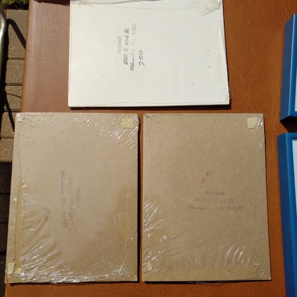 BRAND NEW SET OF 3 NEDOBECK PRINTS WITH CAT, LION, AND RABBIT AND CUSTOM MATS - Picture 10 of 14